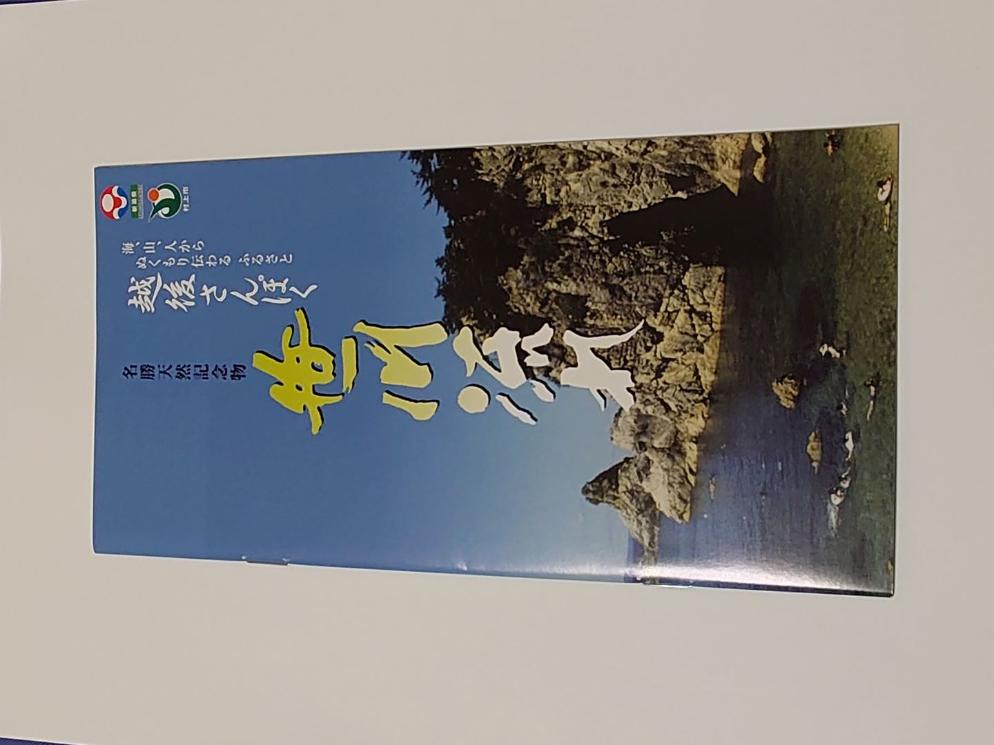 笹川流れ 笹川流れ